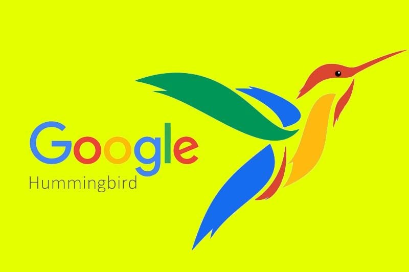 الگوریتم های گوگل-مرغ مگس خوار